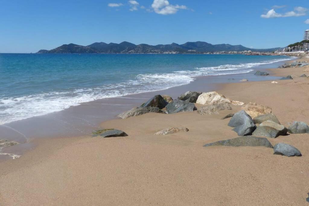 Appartement Lumineux dans Résidence avec Piscine Cannes Esterno foto